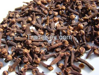 Pure 100% natural dried clove for herb and spices