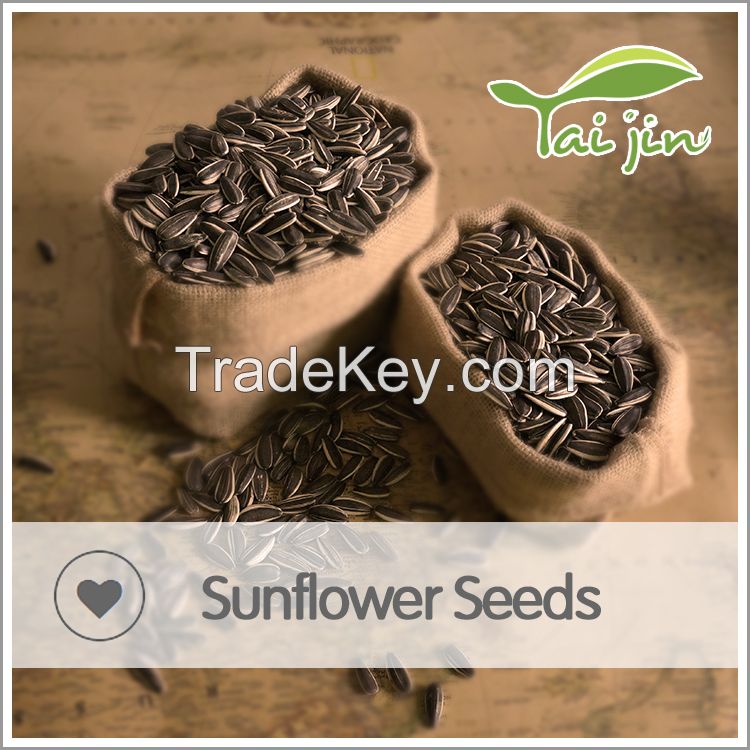 AAA Grade Dried Sunflower Seed 363 Ton Price 