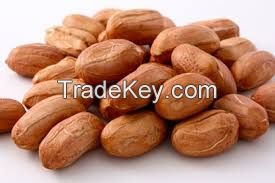 Wholesale raw organic blanched peanut for edible 