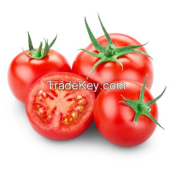 Pure natural organic fresh tomato 