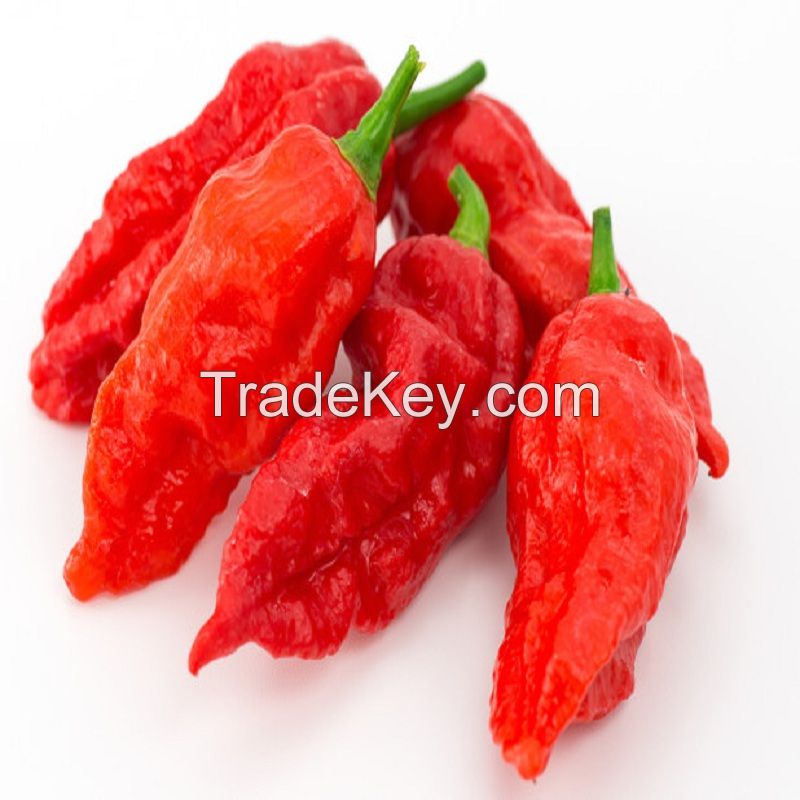 DRY AND FRESH RED CHILI PEPPER