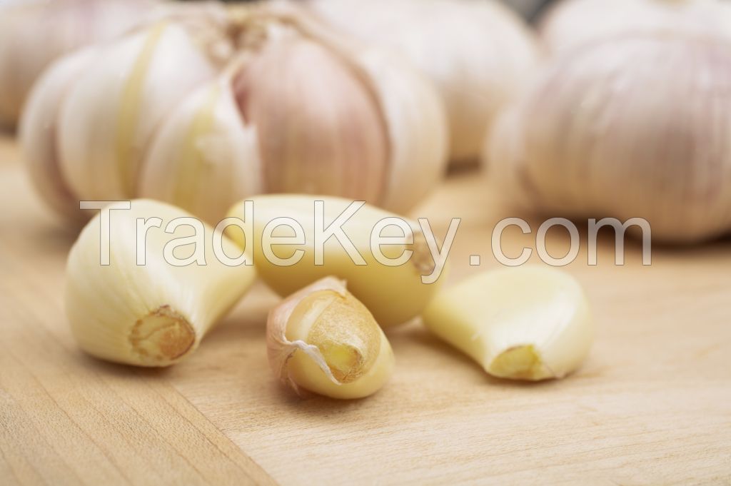 wholesale fresh garlic in thailand with garlic label