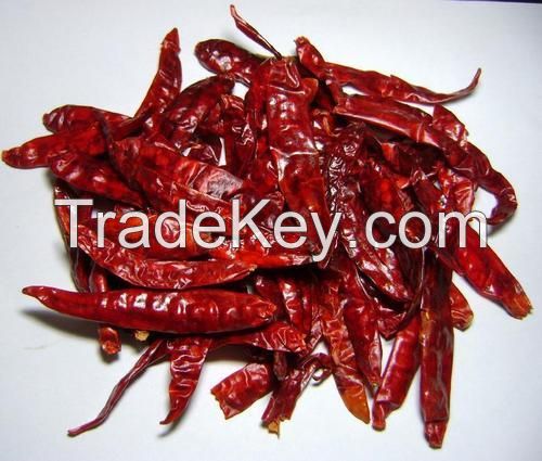 Wholesale Dried Red chilli Pepper Thailand
