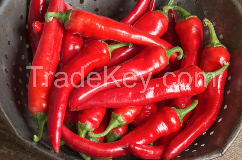 Original Spicy Seasoning Red Hot Dried Millet Chili Pepper