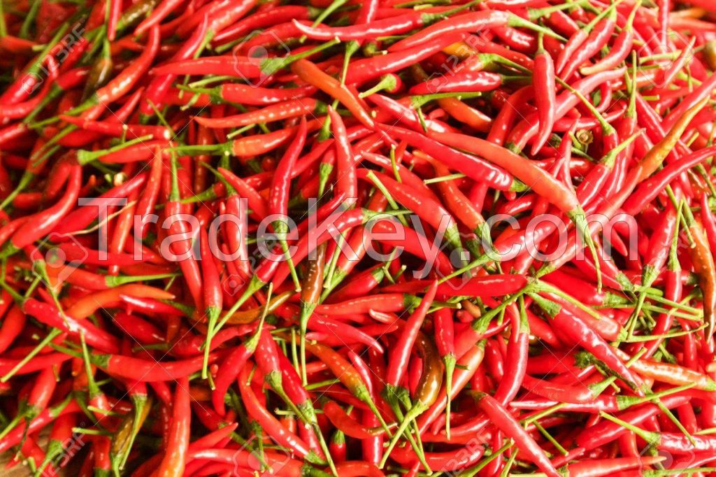 Fresh Green Chilli Pepper / Red Fresh Chilli Pepper Chilli Pepper Paprika Red Chili Powder