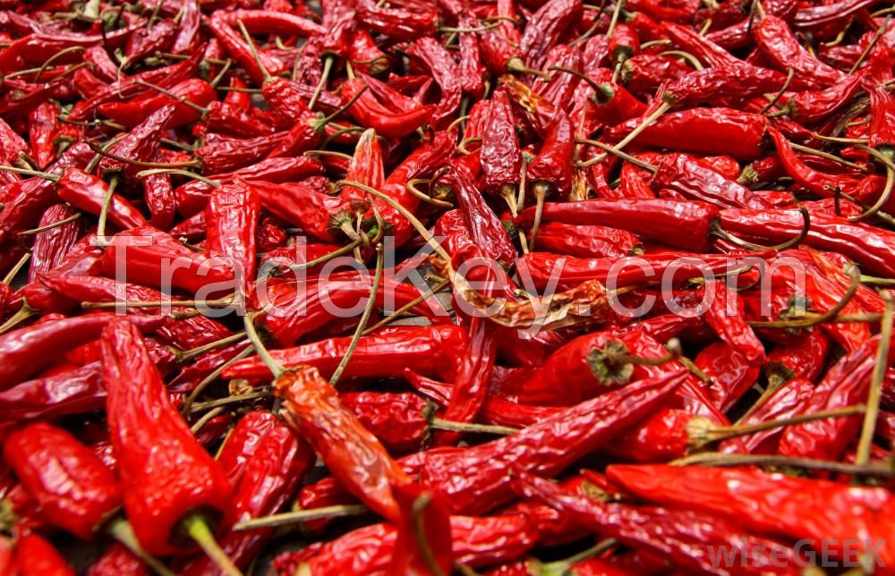 Fresh chili pepper red super hot from northeast Thailand 