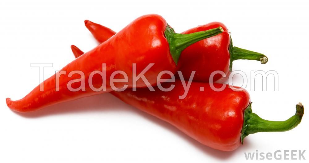 DRY AND FRESH RED CHILI PEPPER