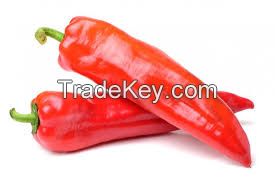 Natural Fresh Red Chilli Pepper From Thailand Wholesale High Quality 