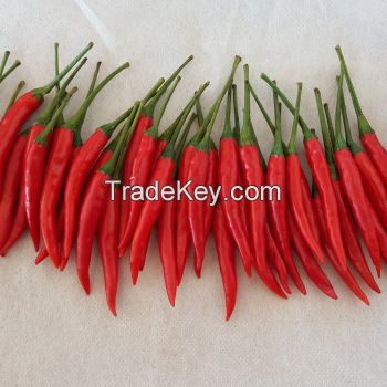 High quality Natural Fresh Red Chili/Pepper