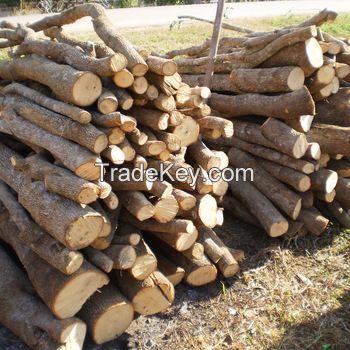 Top Quality Firewood From Thailand In Bulk