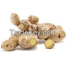 haccp certificated yellow ginger bulk supply in thailand