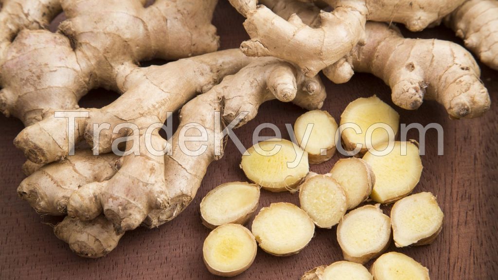 high quality cheapest wholesale ginger thailand ginger price in delhi per 100kg