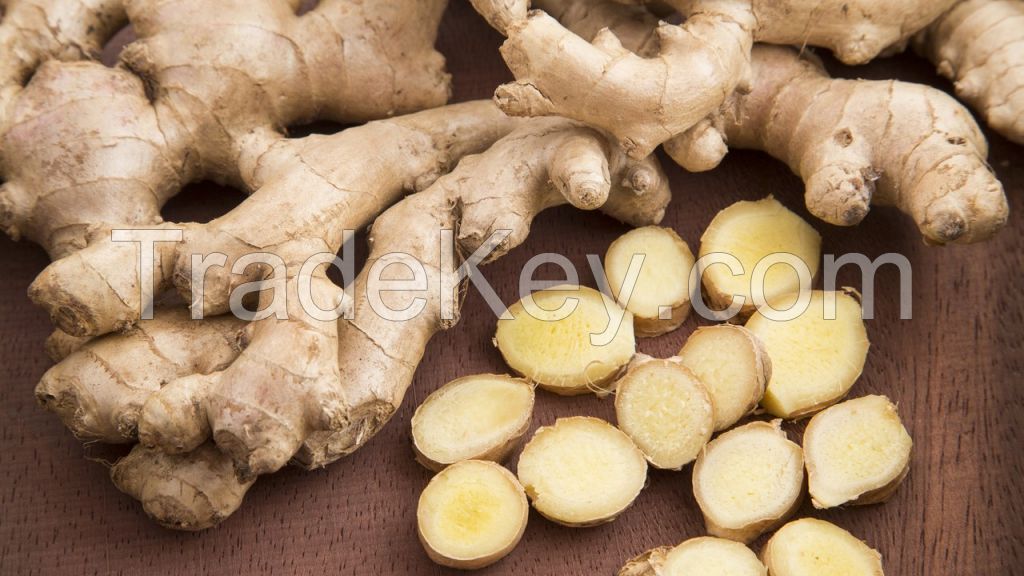 Organic fresh ginger peru/air dry ginger for sale 