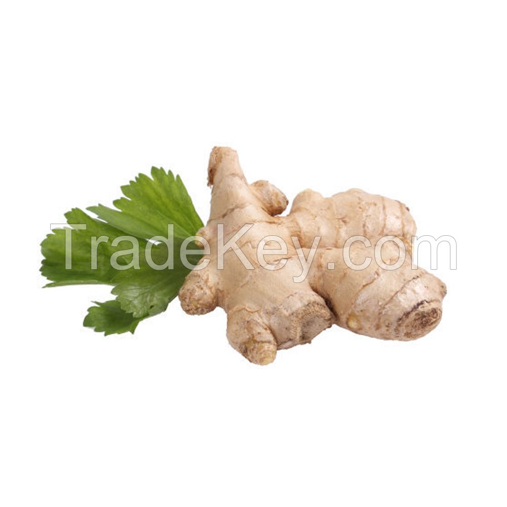 haccp certificated yellow ginger bulk supply in thailand