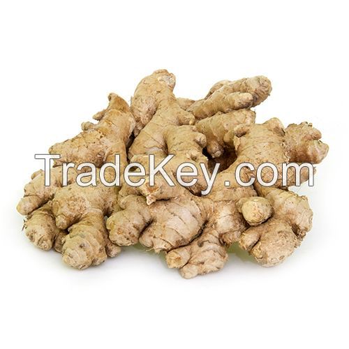 Thailand fresh ginger and garlic supplier 