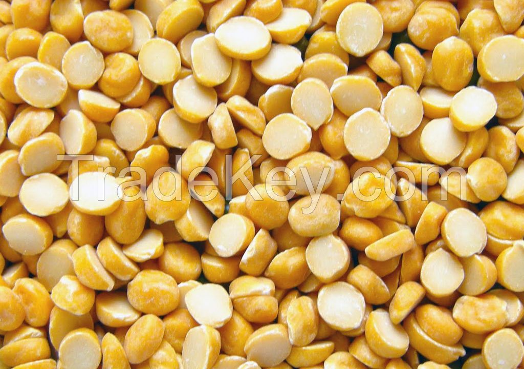 Pulses in thailand
