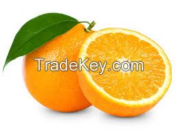 Navel oranges for Thailand