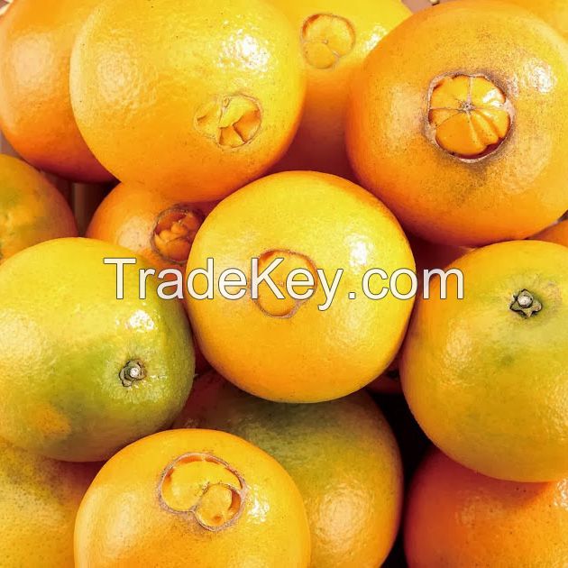 Good Price thailand Orange... Navel Orange From thailand