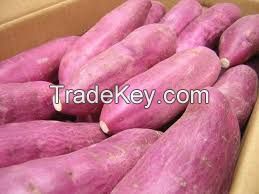 Fresh Sweet Potatoes ,Red Yellow , Purple Skin Sweet Potatoes 