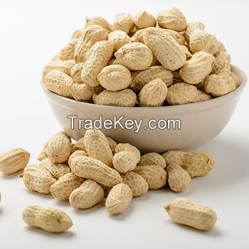 Blanched Peanuts