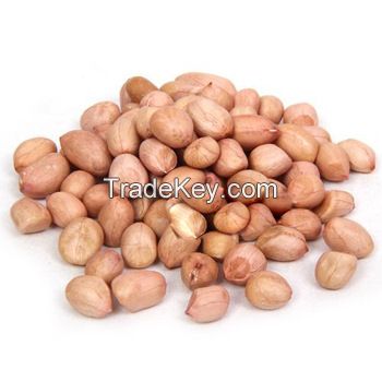 Blanched Peanuts