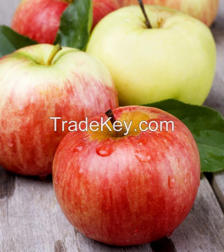 Fresh fruit product type and fresh style red delicious apple fresh apple 