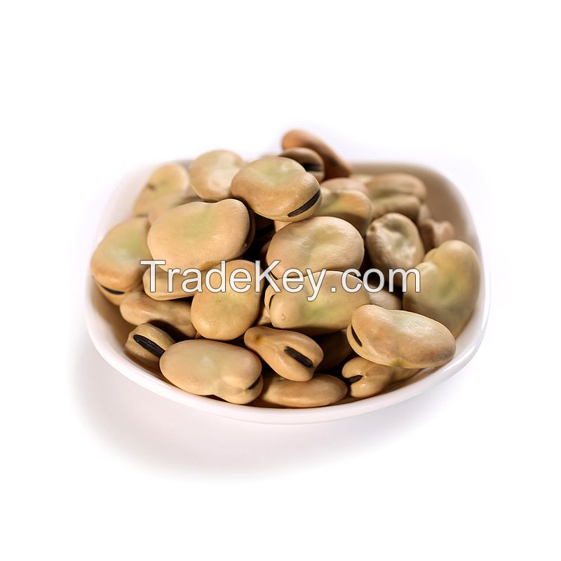 Discount Price Dried Broad Beans Fava Beans 
