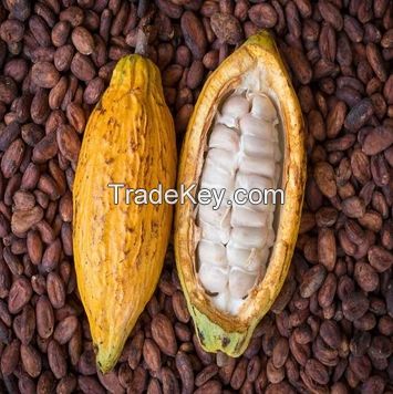 Quality Dried Cocoa Beans