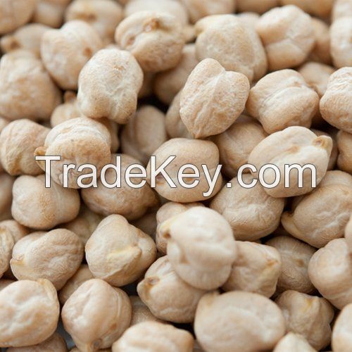 Wholesale High Quality Chickpeas/Chick Peas