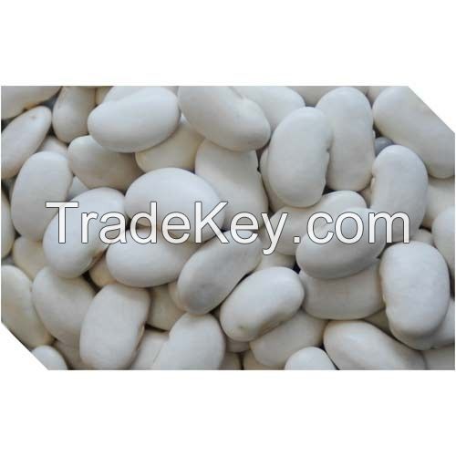 Premium Quality Butter Beans At Factory Price