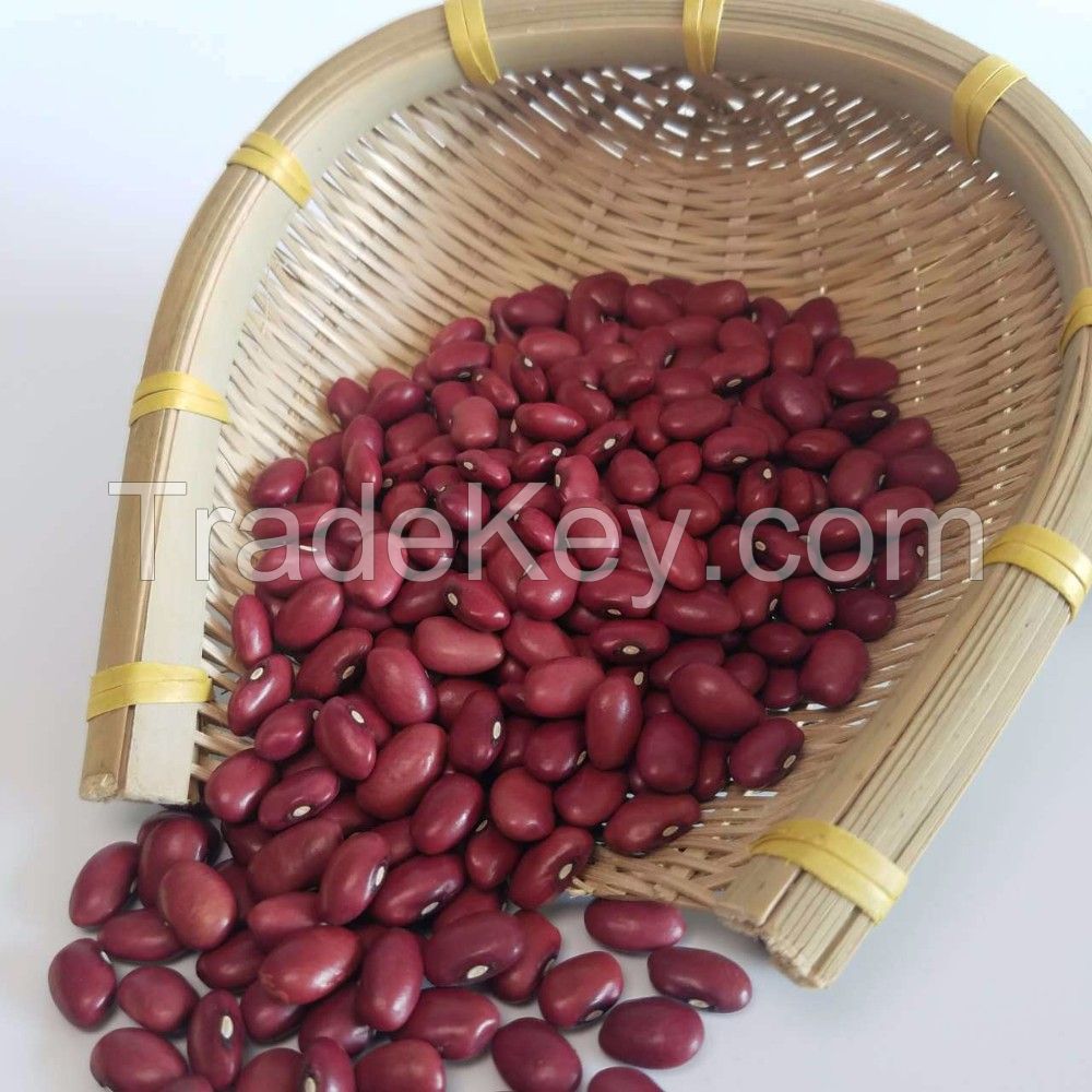 Premium quality white, Red kidney beans From Thailand