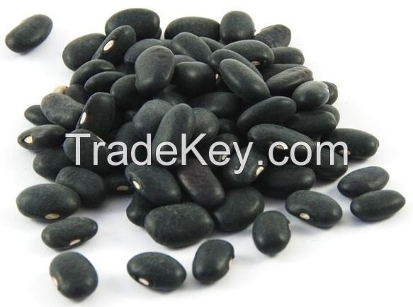 Best quality black kidney beans for sale at discount rates