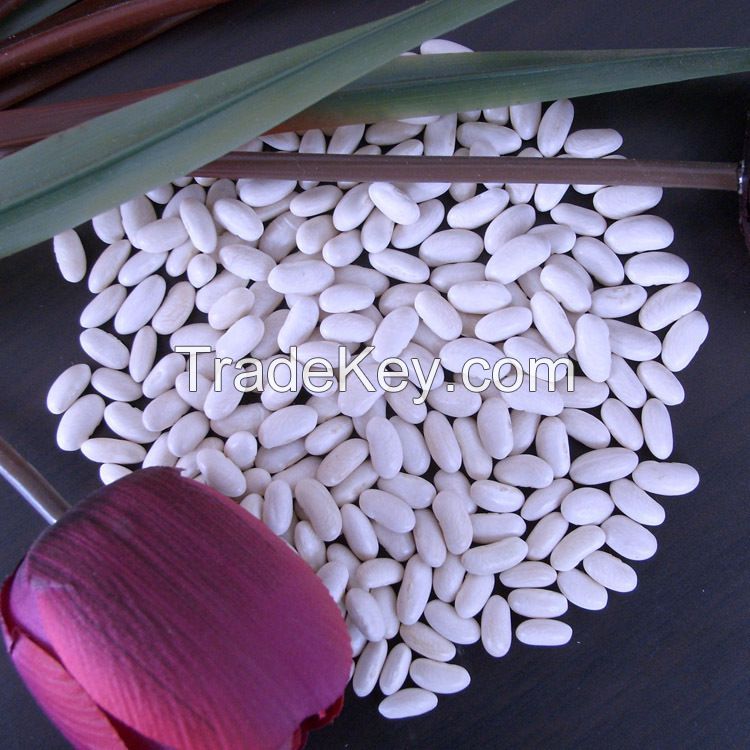 100% Natural Dried White Kidney Beans At Wholesale Price