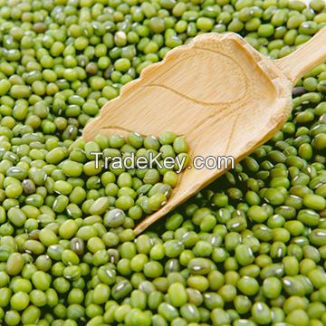 Premium Grade Mung/Vigna Beans From Thailand for sale