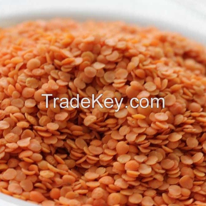 Split Red Lentils