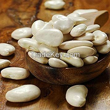 Lima Beans , Pulses Kidney Beans, Red Lentil Best Quality in Bulk