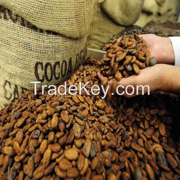 Quality Dried Cocoa Beans