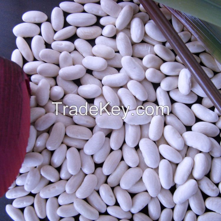 100% Natural Dried White Kidney Beans At Wholesale Price 