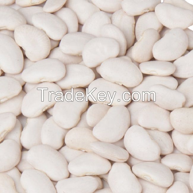 Lima Beans for sale at factory price