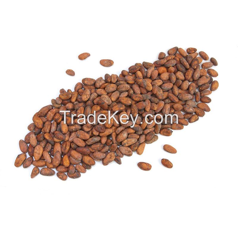 Premium Quality Organic Dried Cocoa Beans