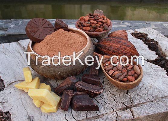 Quality Dried Cocoa Beans