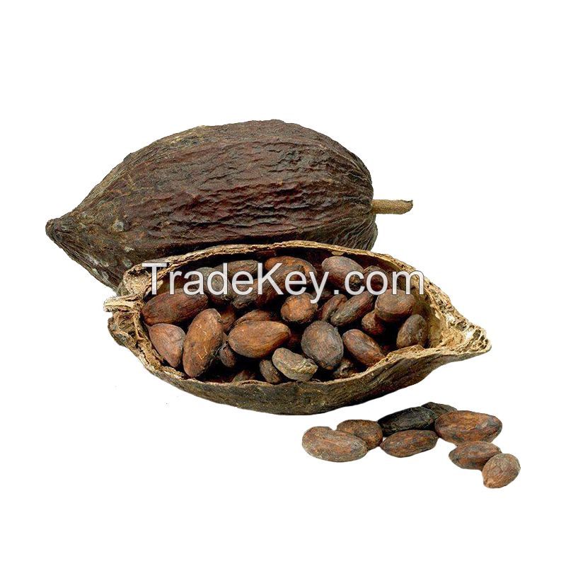 Certified Organic Cocoa Beans and Cocoa Nibs