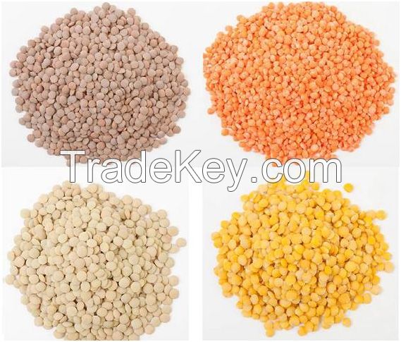 Premium Dry Green, Red, Black and Brown Lentils