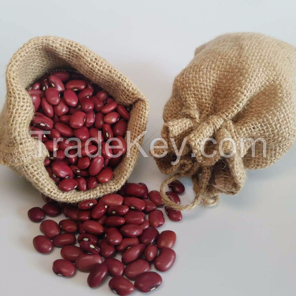 Premium quality white, Red kidney beans From Thailand