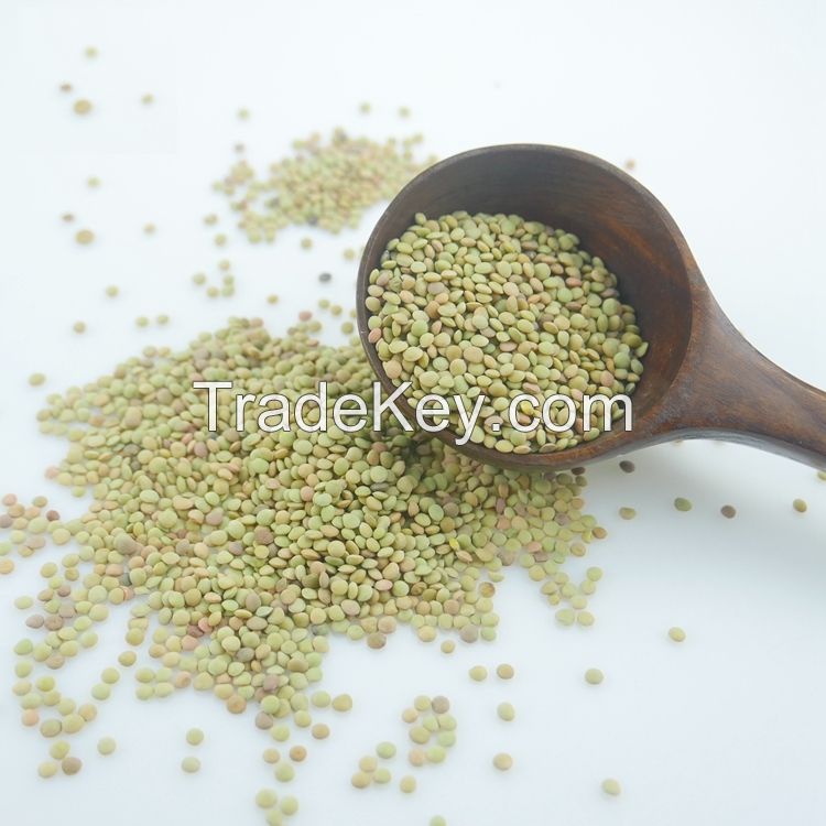 Premium Dry Green, Red, Black and Brown Lentils