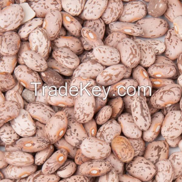 Premium quality white, black red kidney beans