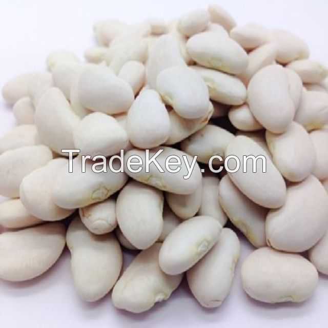 New Crop Premium Butter Beans