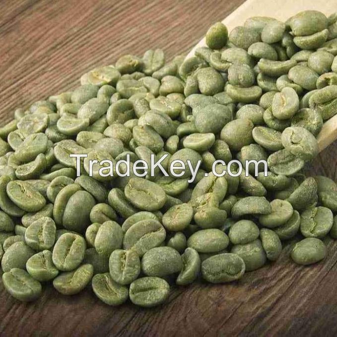 Factory Price Green/Dried/Roasted Arabica Coffee beans from Thailand