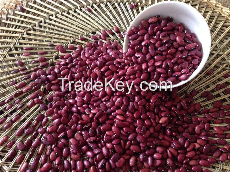 Premium quality white, Red kidney beans From Thailand