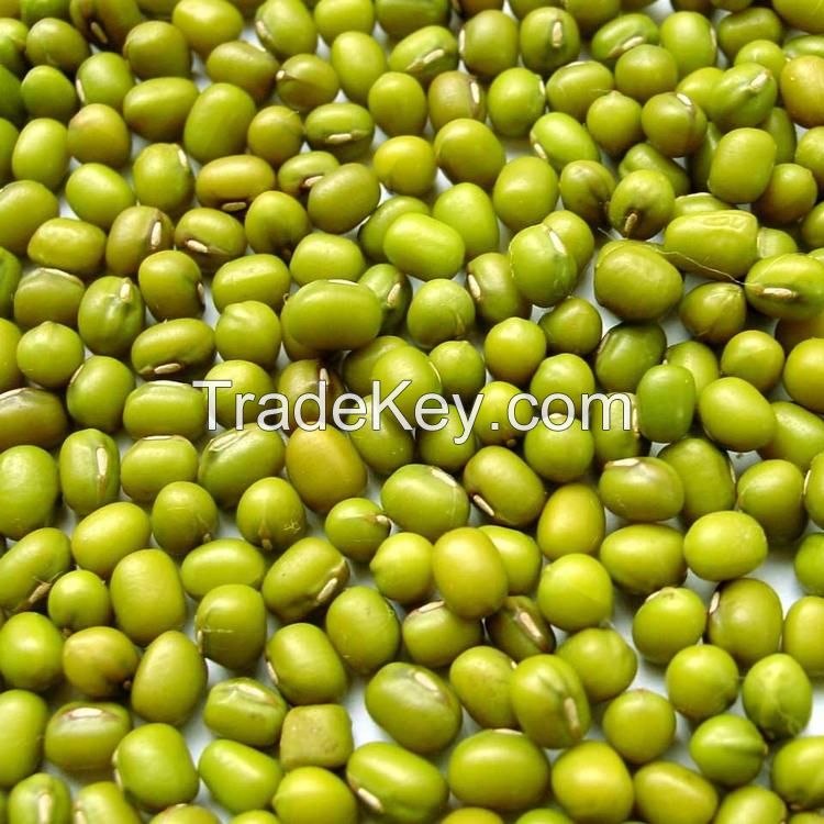High Quality Green Mung Bean for Sprouting